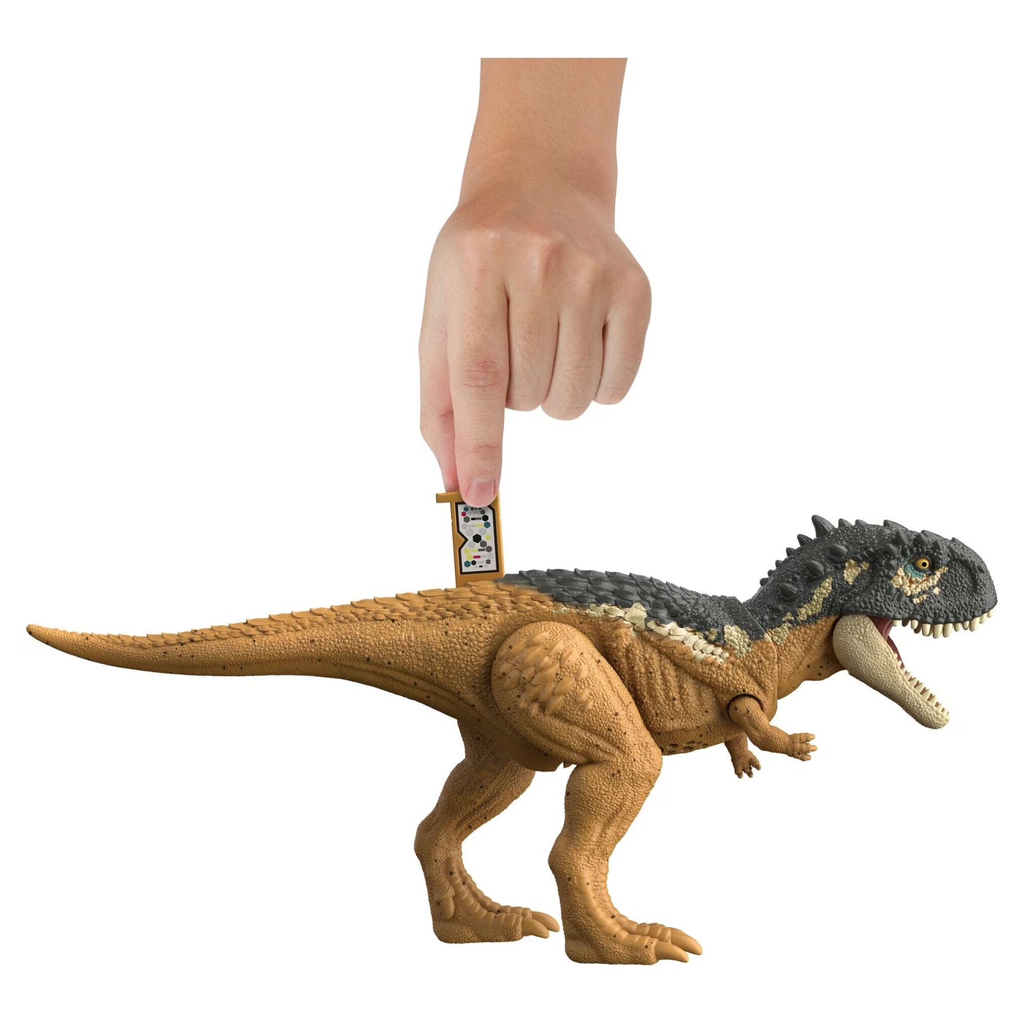 : Dominion Roar Strikers Dinosaur Figures Medium Size for 4 Year Olds & Up